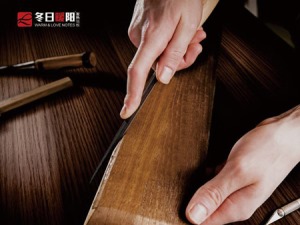 公司介绍