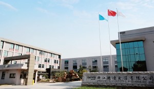 公司介绍