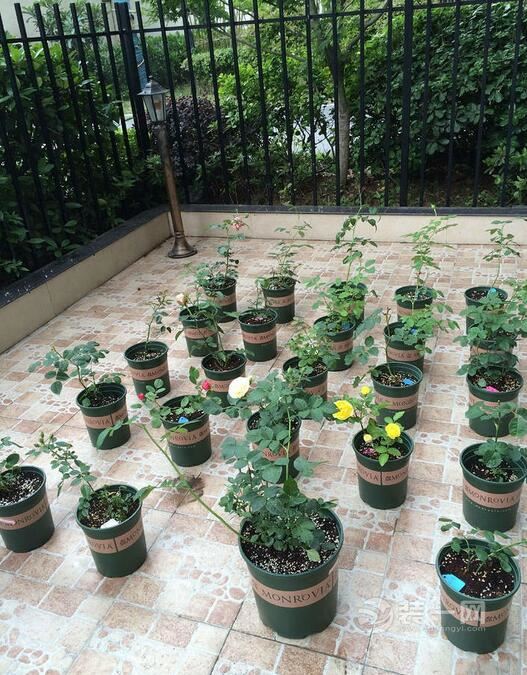 现代美式风格花园装修设计效果图